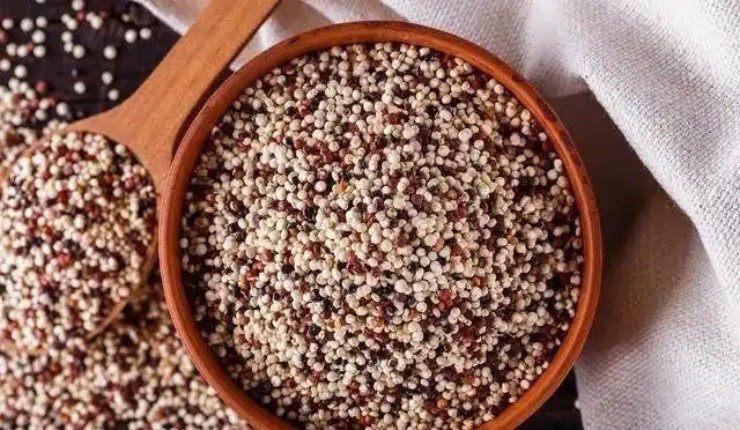 Cây chỉ trồng 4 tháng là có thể thu hoạch, hơn nửa triệu/kg, người Việt trẻ cực chuộng - 2