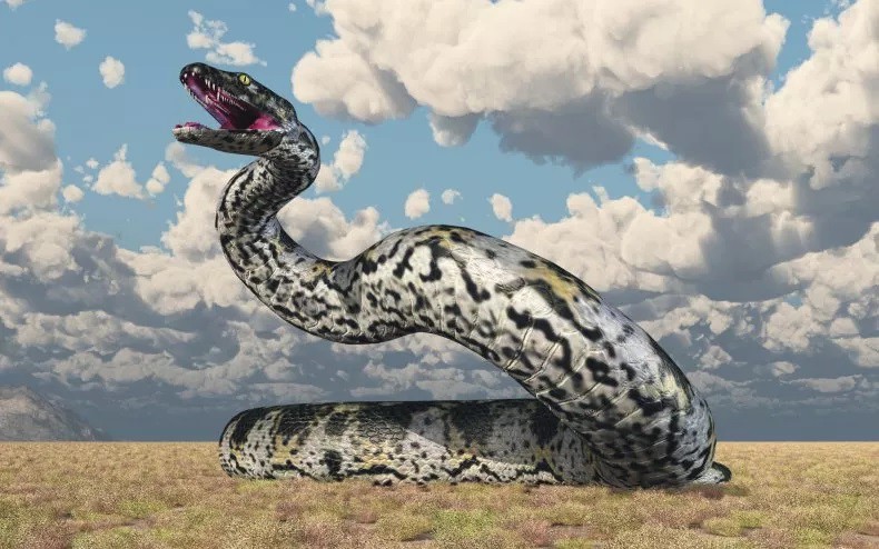 Titanoboa – loài rắn lớn nhất từng xuất hiện trên Trái đất (ảnh: MR1805/Getty)