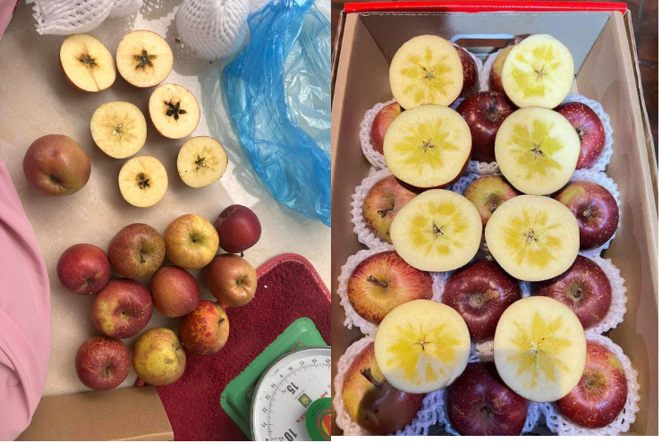 Táo thực tế (ảnh trái) và táo quảng cáo trên mạng (ảnh phải).