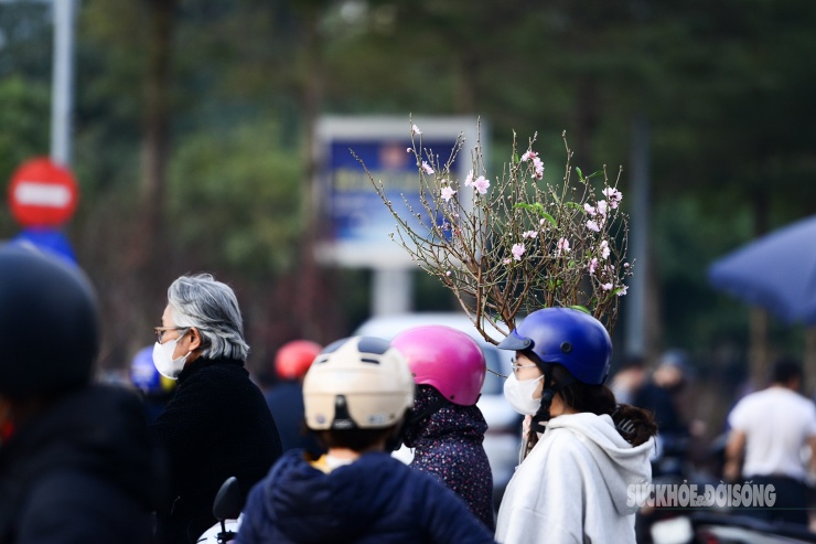 Trong tiết trời mưa xuân, người dân Thủ đô đổ ra chợ hoa Tết để chọn cho mình những cây quất, cành đào ưng ý nhất về chơi. Tất cả đang hối hả mang mùa xuân về nhà.