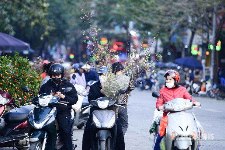Người dân Thủ đô hối hả ‘chở Xuân’ về nhà - 2