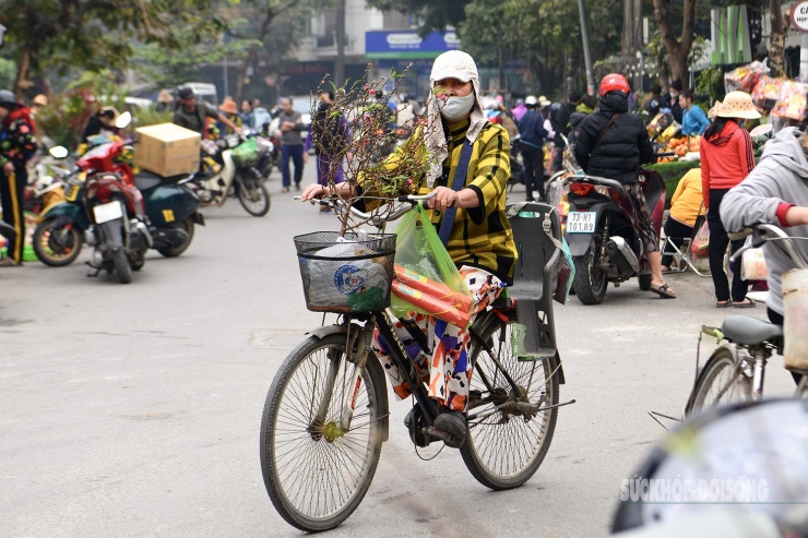 Người dân Thủ đô hối hả ‘chở Xuân’ về nhà - 4