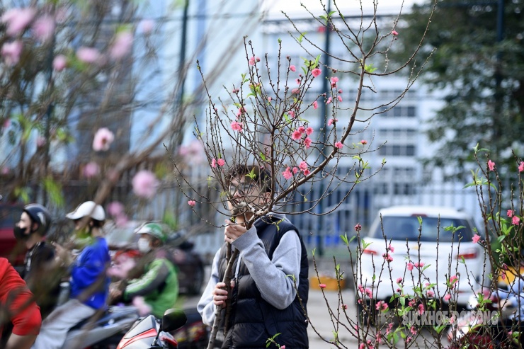 Người dân Thủ đô hối hả ‘chở Xuân’ về nhà - 7