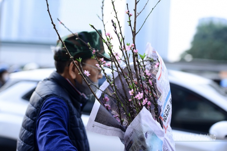 Người dân Thủ đô hối hả ‘chở Xuân’ về nhà - 6