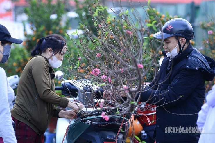 Người dân Thủ đô hối hả ‘chở Xuân’ về nhà - 9