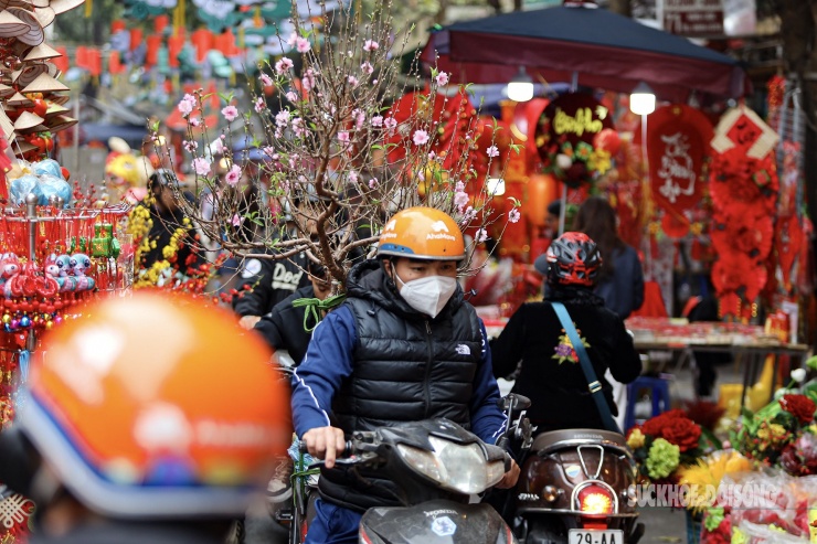 Người dân Thủ đô hối hả ‘chở Xuân’ về nhà - 12
