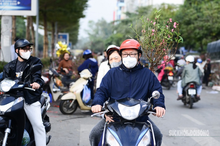 Người Việt quan niệm màu đỏ thắm của hoa đào tượng trưng một năm mới tươi sáng, ấm áp và mang tới nhiều sức khỏe, thành công, hạnh phúc trong năm mới.