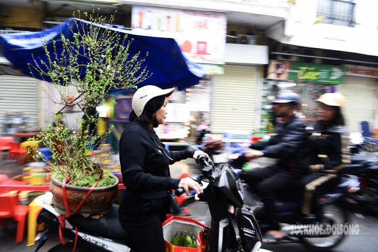 Người dân Thủ đô hối hả ‘chở Xuân’ về nhà - 16
