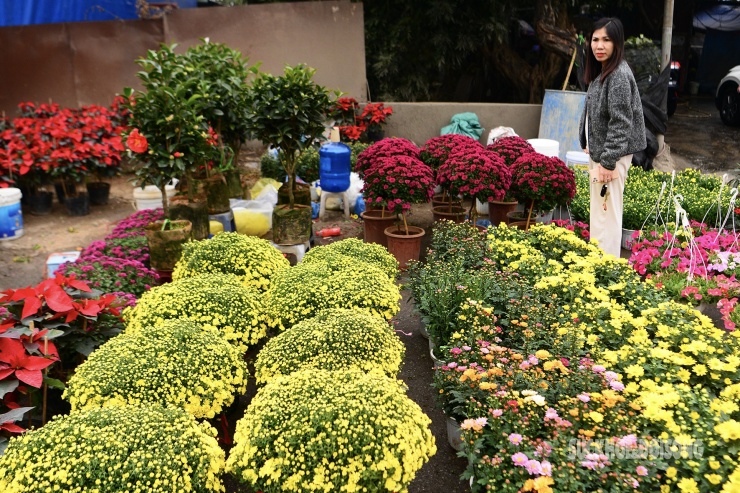 Xuân về, ngàn hoa đua sắc thắm. Và cứ mỗi độ Tết đến, người dân lại nô nức đi chợ mua hoa, cây cảnh để trang trí.