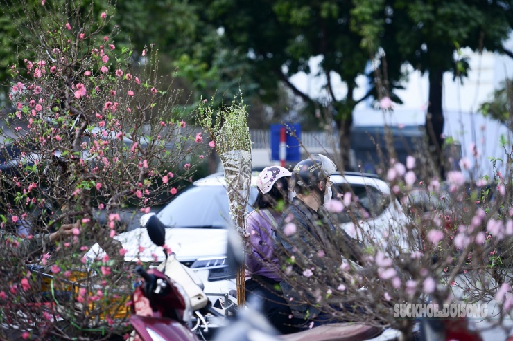 Đường phố Hà Nội rực sắc hoa khi Tết đang đến gần.