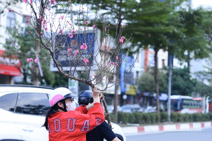 Ai ra đường thời điểm này rất dễ bắt gặp hình ảnh người dân vội vã “chở Xuân’ về nhà.