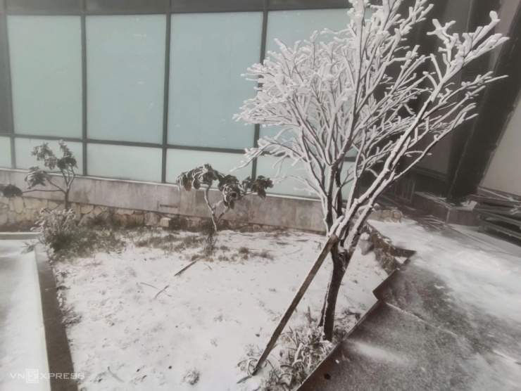 Ban đầu mưa tuyết rơi thưa, càng về chiều tối càng dày. Đến 17h, tuyết đã phủ trắng mặt đất, bám trên cành, lá cây.