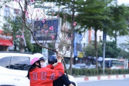 Tin tức trong ngày - Người dân Thủ đô hối hả ‘chở Xuân’ về nhà