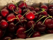 Thị trường - Tiêu dùng - Gần 2 triệu đồng một kg cherry nhập khẩu cận Tết