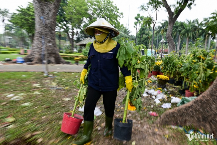 Ngậm ngùi vứt bỏ hoa Tết chiều cuối năm - 13
