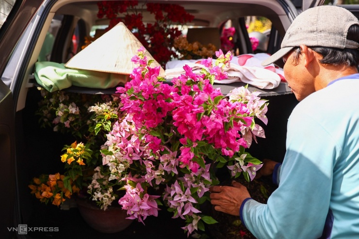 Nhiều người đi ôtô mua để dễ vận chuyển hoa.