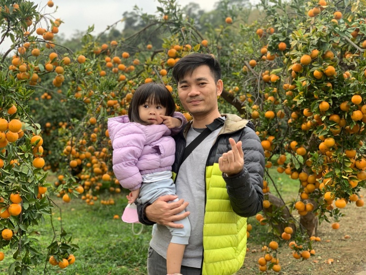 Anh Phát cho biết khi được nghỉ Tết thì anh tranh thủ đi vườn quýt để hái và chụp ảnh. Ảnh: nhân vật cung cấp