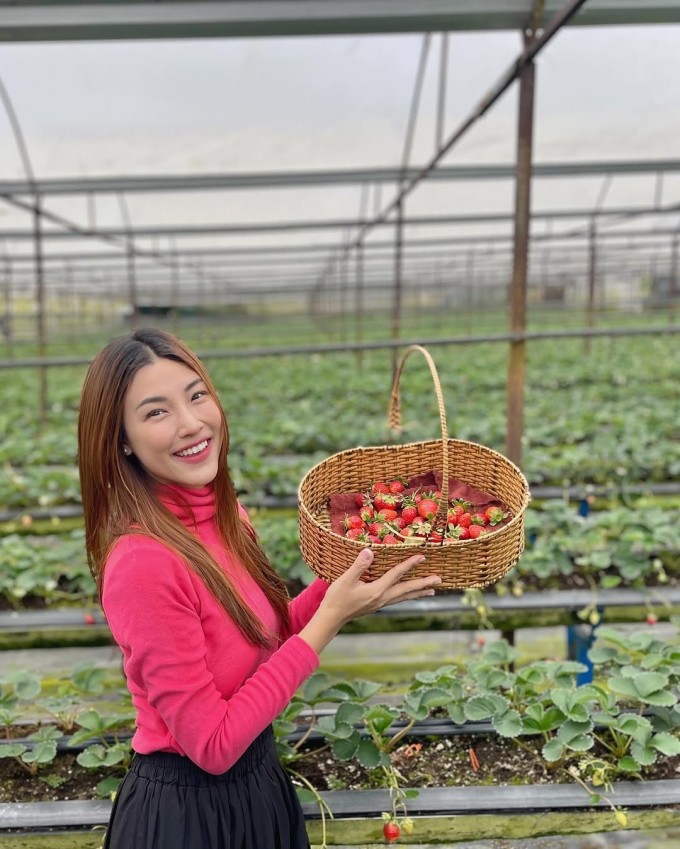 MC Hoàng Oanh cũng có chuyến du xuân sớm trước Tết vài ngày tại Đà Lạt. Người đẹp vào vườn hái dâu, check in thác Datanla và nghỉ dưỡng ở một homestay giữa rừng. Cô cho biết vì hoạt động nghệ thuật quen với âm thanh lớn nên lâu lâu muốn tìm về nơi tĩnh lặng giữa thiên nhiên.