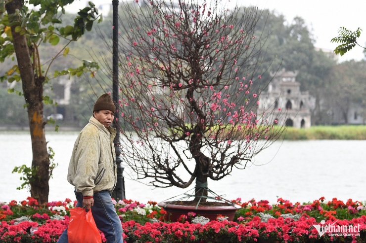 Thời tiết miền Bắc và Bắc Trung Bộ ngày mùng 2 Tết vẫn rét. Ảnh: Bảo Kiến