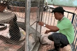 Media - VIDEO: “Rùng mình” xem lấy nọc độc rắn