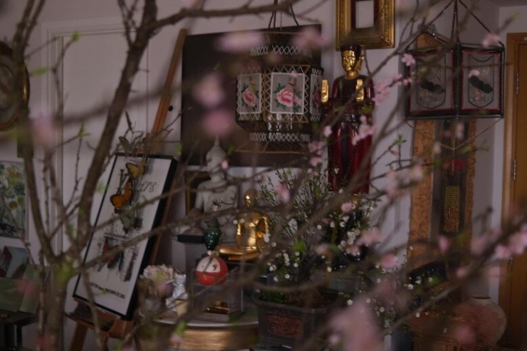 Đàn em thân thiết của Hồ Ngọc Hà cho hay: “Xưa giờ Khánh chỉ thích đào 5 cánh vì trông rất đài các và mong manh”. Nhà thiết kế đã được đàn em tận miền Bắc tặng cho cành đào duyên dáng rất hợp với tổ ấm nhỏ xinh của anh tại Sài Gòn.