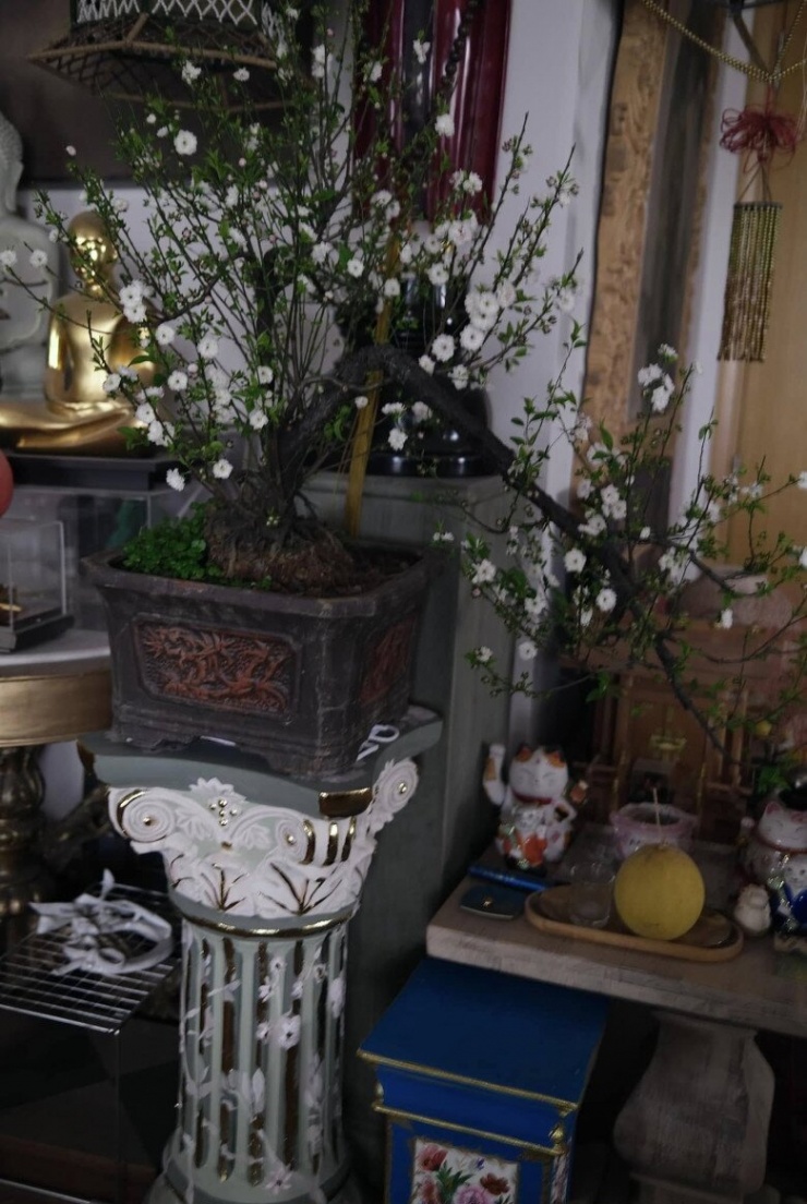 Cơ ngơi ngập tràn sắc xuân của cháu trai gia tộc giàu có bậc nhất Việt Nam - 10