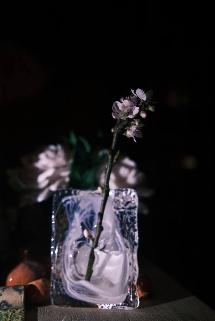 Nhà thiết kế mê mẩn chụp "đào khuya" trong không gian sống của mình. Một nhành đào nhỏ được cắm trong lọ thủy tinh nghệ thuật, ánh sáng mờ ảo càng tôn lên vẻ đẹp mong manh của những cánh hoa. Sự tối giản nhưng đầy dụng ý trong cách sắp đặt tạo nên một khung hình đầy chất thơ, đậm dấu ấn cá nhân của Lý Quí Khánh.