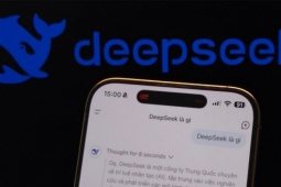 Thế giới - DeepSeek 'tốn hơn tỷ USD thay vì 5,6 triệu USD cho AI'