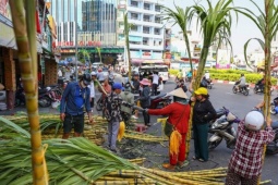 Thị trường - Tiêu dùng - Nhộn nhịp mua mía thân vàng trước ngày vía Ngọc hoàng