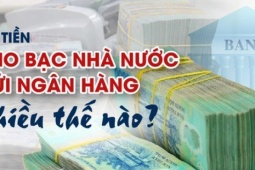 Kinh doanh - Số tiền Kho bạc Nhà nước gửi ngân hàng nhiều thế nào?