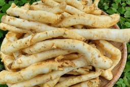 Thứ rễ cây tưởng bỏ đi, nay thành đặc sản dịp Tết, gần nửa triệu/kg vẫn được "săn lùng"
