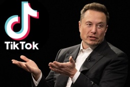 Elon Musk bất ngờ tuyên bố:  " Tôi không muốn mua TikTok! " 