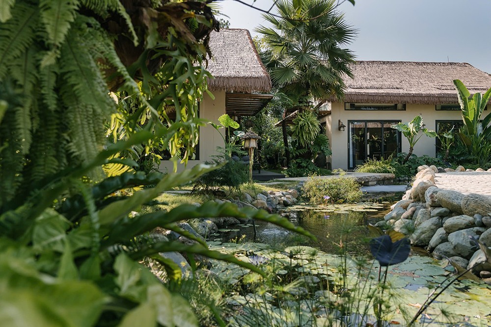 Nguồn ảnh: Hillstay Villa Homestay