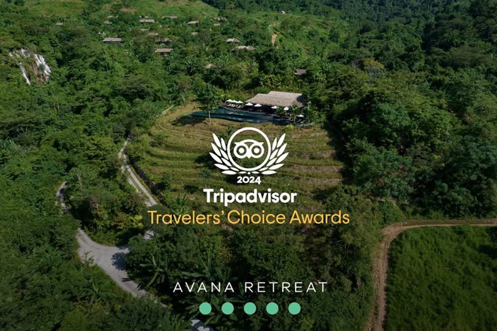 Nguồn ảnh: Avana Retreat