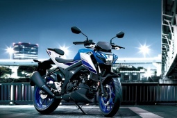 Suzuki giới thiệu GSX-S125 - mô tô  " bé hạt tiêu "  phù hợp người mới bắt đầu