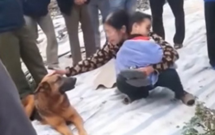 Vụ bé 6 tuổi đi lạc được chó cưng bảo vệ suốt đêm: Người mẹ tiết lộ điều  bất ngờ