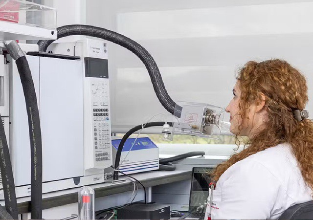 Một trong các nhà khoa học đang trải nghiệm mùi của xác ướp Ai Cập - Ảnh: THE CONVERSATION