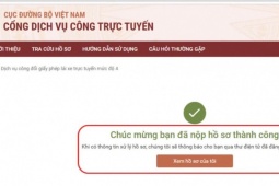 Không phải xếp hàng vạ vật, ngồi nhà vẫn đổi được giấy phép lái xe