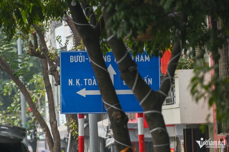 Biển báo giao thông bị che khuất sau những thân cây. Ảnh: Công Huân&nbsp;