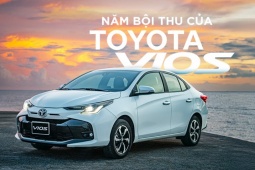 Ô tô - Một năm bội thu của Toyota Vios