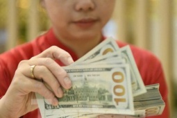 USD  " diễn biến lạ " , Ngân hàng Nhà nước phản ứng thế nào?