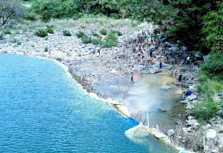 Người Giẻ Triêng 'gây mê' bắt cá bằng cây rừng - 1