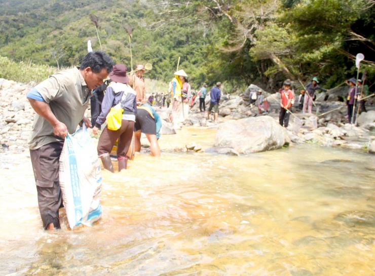 Người Giẻ Triêng 'gây mê' bắt cá bằng cây rừng - 3