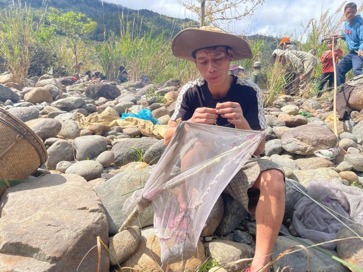 Người Giẻ Triêng 'gây mê' bắt cá bằng cây rừng - 4