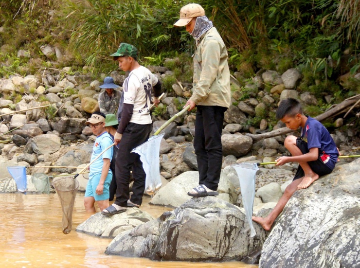 Người Giẻ Triêng 'gây mê' bắt cá bằng cây rừng - 8