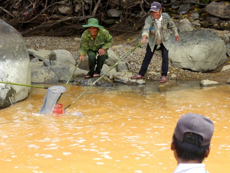 Người Giẻ Triêng 'gây mê' bắt cá bằng cây rừng - 7