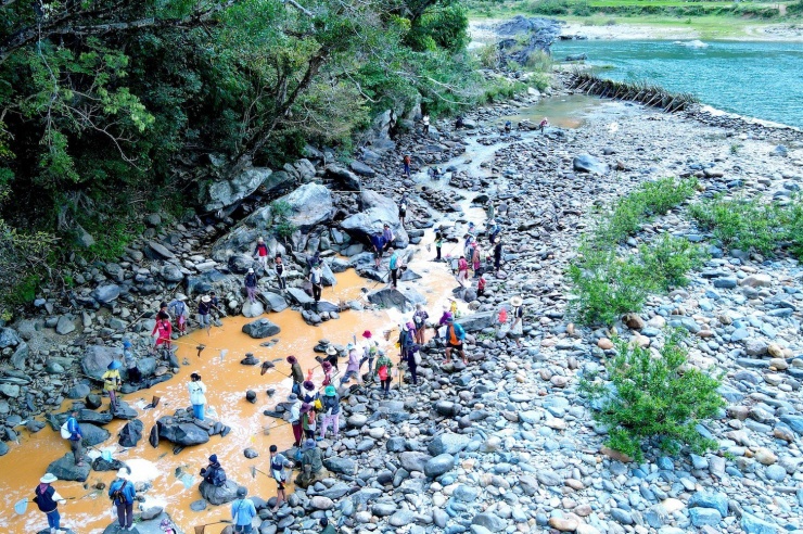 Người Giẻ Triêng 'gây mê' bắt cá bằng cây rừng - 5