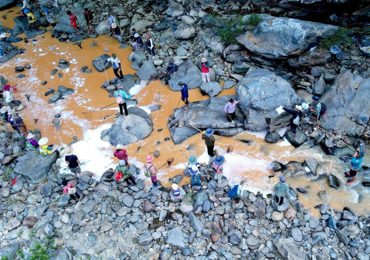 Người Giẻ Triêng 'gây mê' bắt cá bằng cây rừng - 6