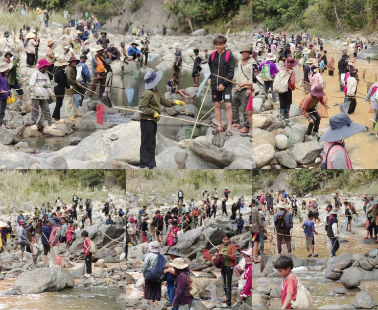 Người Giẻ Triêng 'gây mê' bắt cá bằng cây rừng - 9