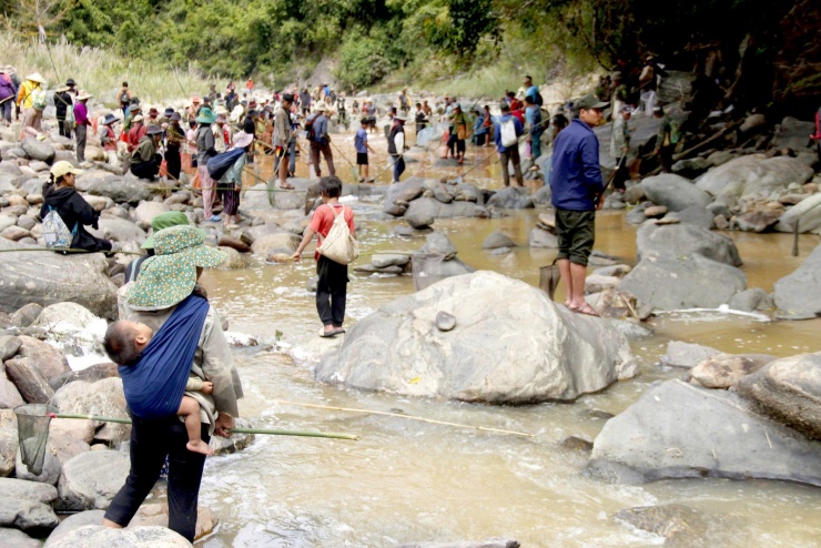 Người Giẻ Triêng 'gây mê' bắt cá bằng cây rừng - 12
